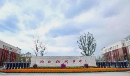 衡水桃城爆料最新消息,揭秘事件真相，真相令人震惊！